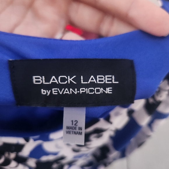 Black Label by Even Picone Blue floral sleeveless dress size 12 - Picture 4 of 5